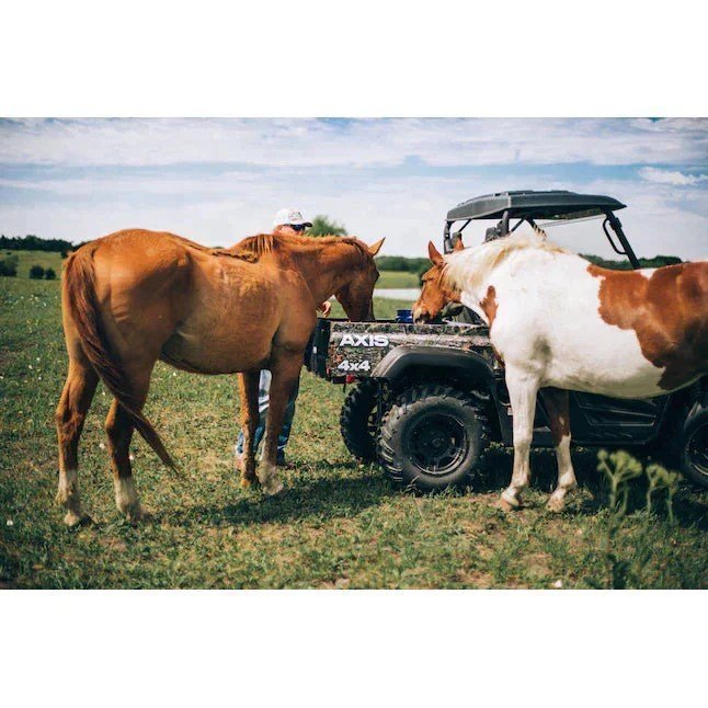 Axis 500 4×4 UTV Camo